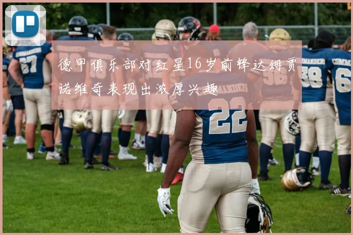 德甲俱乐部对红星16岁前锋达姆贾诺维奇表现出浓厚兴趣